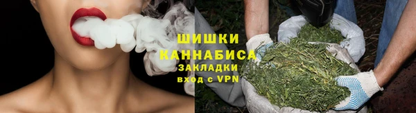 ПСИЛОЦИБИНОВЫЕ ГРИБЫ Аркадак