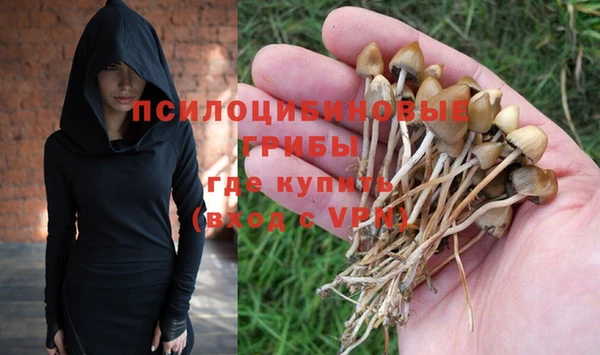 ПСИЛОЦИБИНОВЫЕ ГРИБЫ Аркадак